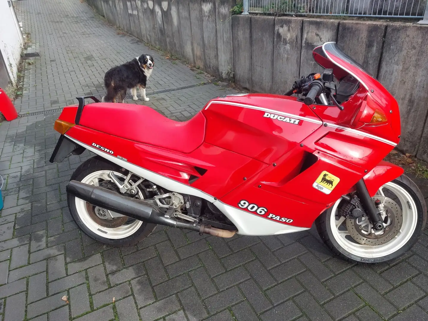 Ducati 906 Paso Rood - 1