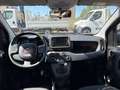 Fiat Panda 1.0 FIREFLY HYBRID 70CV Nero - thumbnail 6
