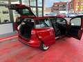 Ford B-Max 1.6 Titanium Sync Autom./LED/SHZ/PANO./EU6 Rot - thumbnail 20