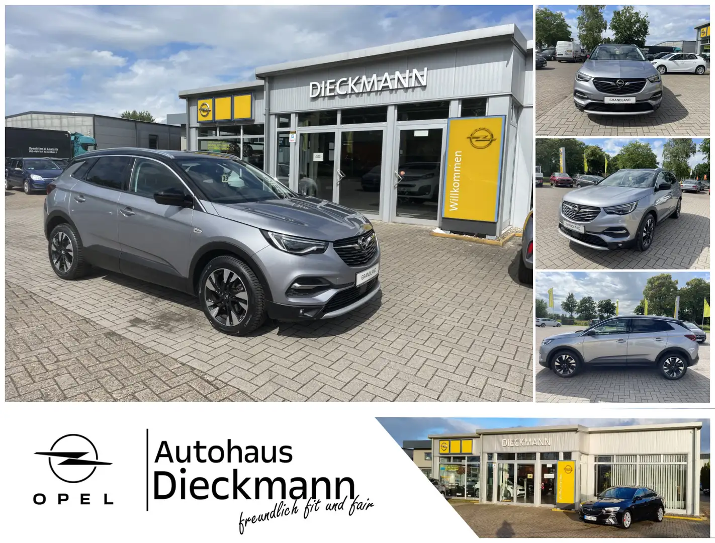 Opel Grandland X 1.6 Turbo Ultimate Navi SHZ 360° Kam LED Leder Gris - 1