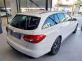 Mercedes-Benz C 200 Auto EQ-Boost Premium Plus (GARANZIA 12 MESI) Bianco - thumbnail 6
