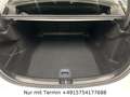 Mercedes-Benz C 220 d AMG Night-Paket 360°Kam. MBUX HEADUP PANO Bianco - thumbnail 7