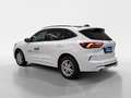 Ford Kuga 2.5 Duratec FHEV ST-Line X Auto 4WD Білий - thumbnail 3