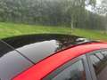 Ford Fiesta 1.0 EcoBoost ST-Line - Panoramadak - Leder - 18 in Rot - thumbnail 14