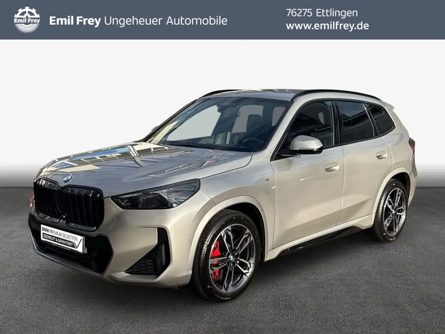 BMW X1 xDrive20d Aut. M-Paket Head-Up AHK HiFi Silber - 1