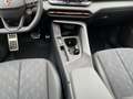 CUPRA Terramar 1.5 eTSI 110 kW (150 PS) 7-Gang DSG Schwarz - thumbnail 12