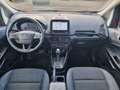 Ford EcoSport 1.0 EcoBoost Autom. TITANIUM KM sind echt. Rouge - thumbnail 9