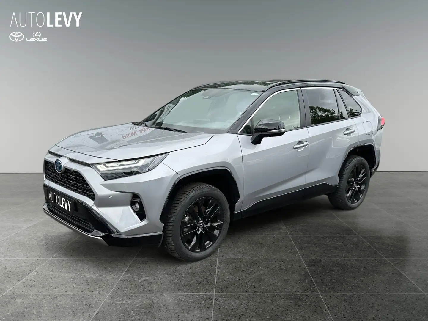 Toyota RAV 4 2.5 Hybrid Style *CARPLAY*AA* Silver - 2