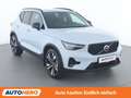 Volvo XC40 2.0 B3 Mild-Hybrid Plus Dark 2WD Weiß - thumbnail 8