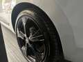 Nissan Micra 1.0 IG-T 92cv GPL Eco N-Sport ITALIANA Wit - thumbnail 21