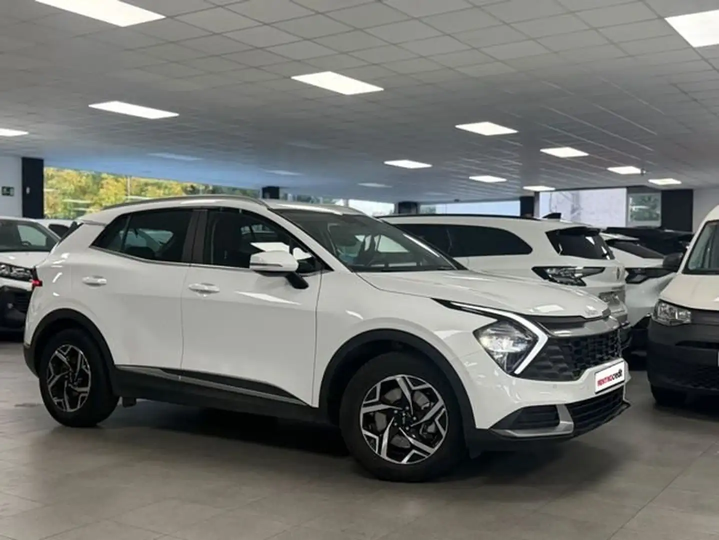 Kia Sportage 1.6 T-GDi MHEV 118kW Business 4x2 DCT Blanco - 2