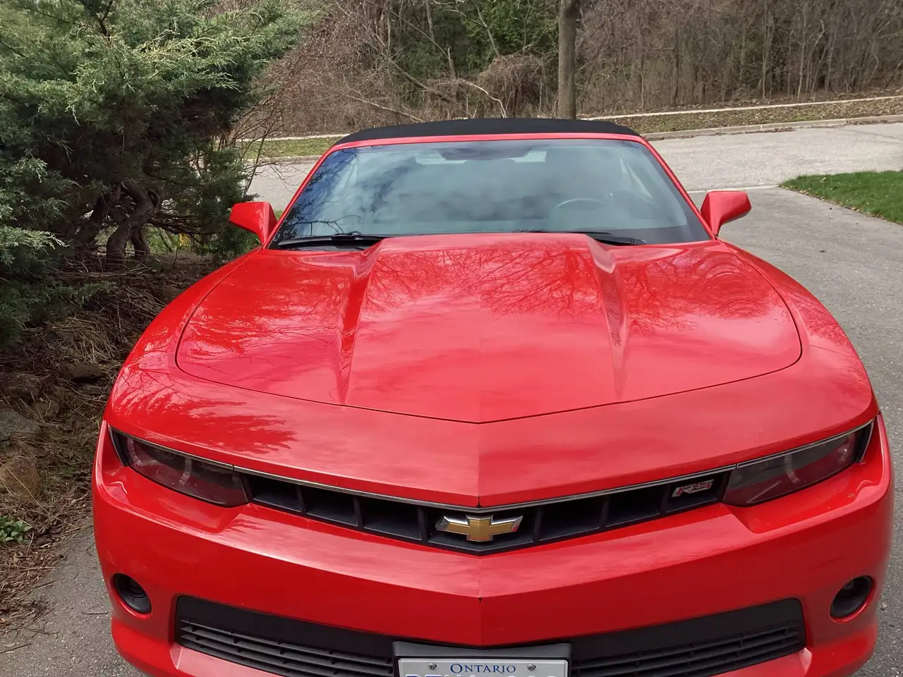 Chevrolet Camaro photo Chevrolet Camaro