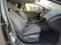Ford Focus 5p 1.6 Titanium Gpl 120cv my17 - thumbnail 11