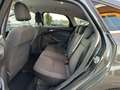 Ford Focus 5p 1.6 Titanium Gpl 120cv my17 - thumbnail 12