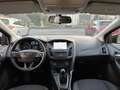 Ford Focus 5p 1.6 Titanium Gpl 120cv my17 - thumbnail 7