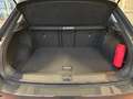 Volkswagen T-Roc Active 2.0 TDI DSG Navi Climatronic Sitzheizung Grau - thumbnail 10