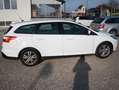 Ford Focus Traveller Trend 1,6D Weiß - thumbnail 4