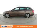 Skoda Octavia 1.0 TSI Clever*NAVI*PDC*SHZ*KLIMA*TEMPO* Braun - thumbnail 3