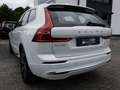Volvo XC60 T8 Recharge AWD Core AHK LED PANO 360° Weiß - thumbnail 4