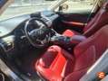 Lexus NX 300 300h Business 2WD Gris - thumbnail 7