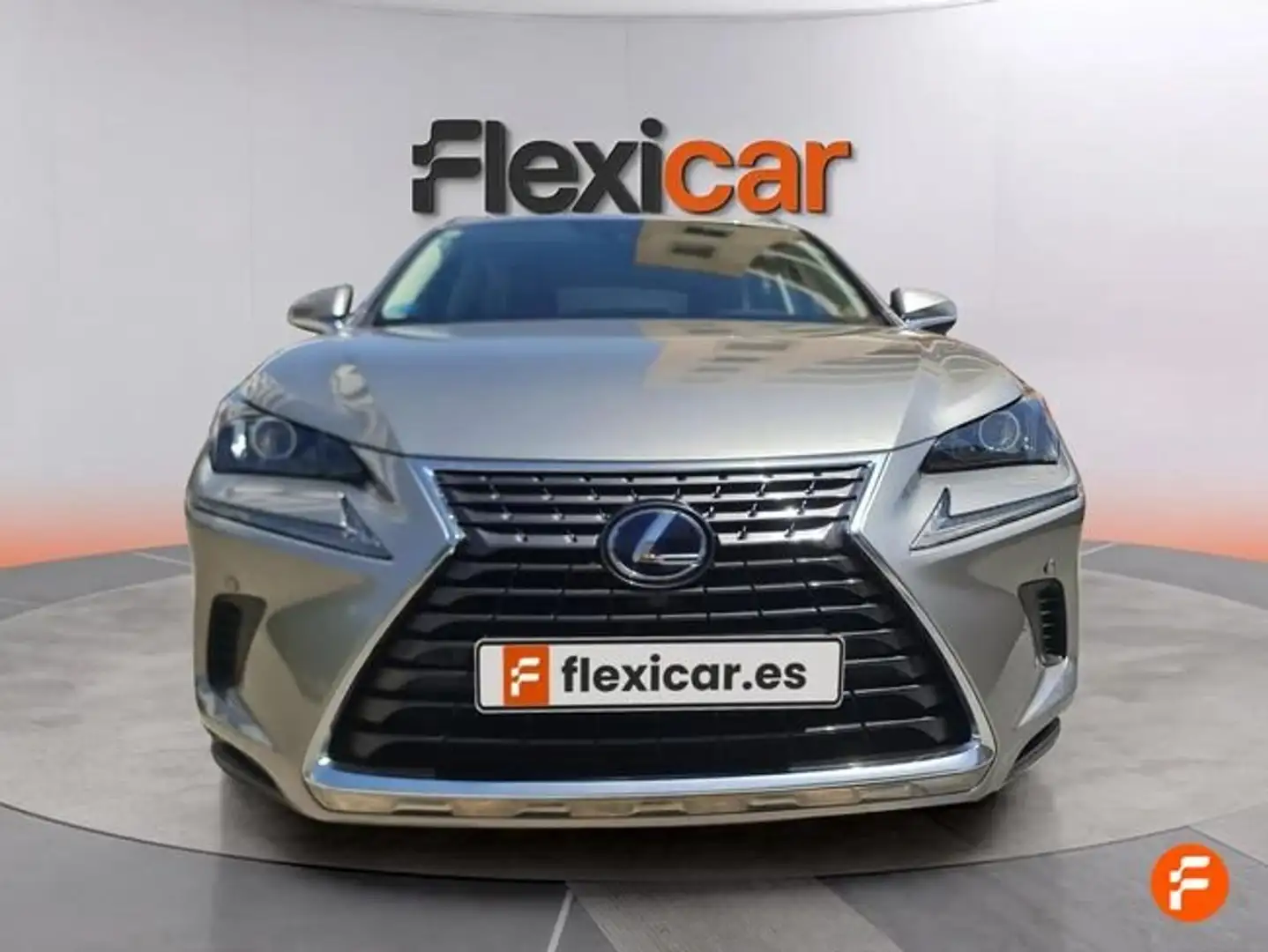 Lexus NX 300 300h Business 2WD Gris - 2