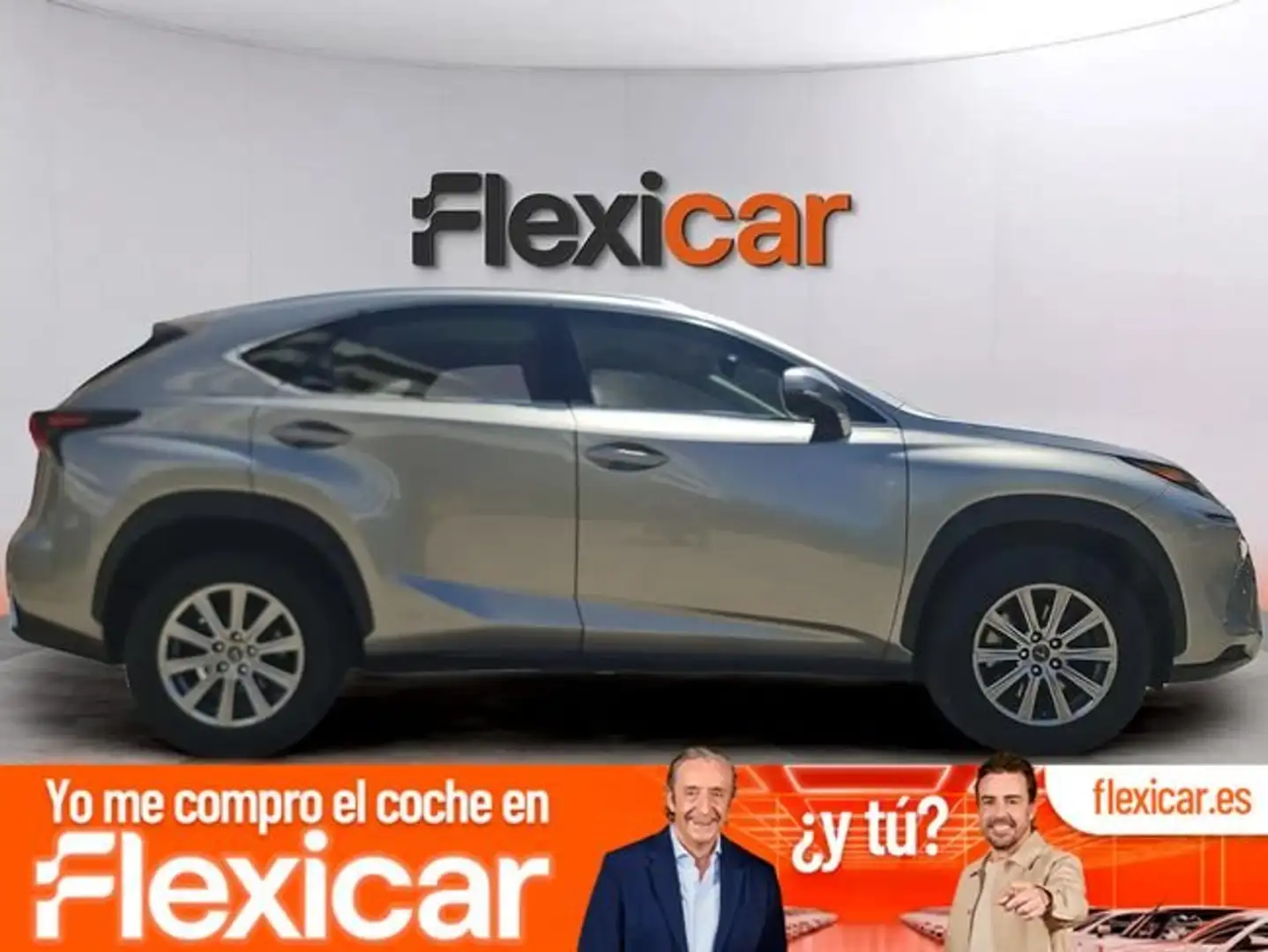 Lexus NX 300 300h Business 2WD Gris - 1