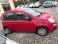 Fiat Panda Panda 1.2 Pop Klima Scheckheftgepfl. Mod. 2016 - thumbnail 4