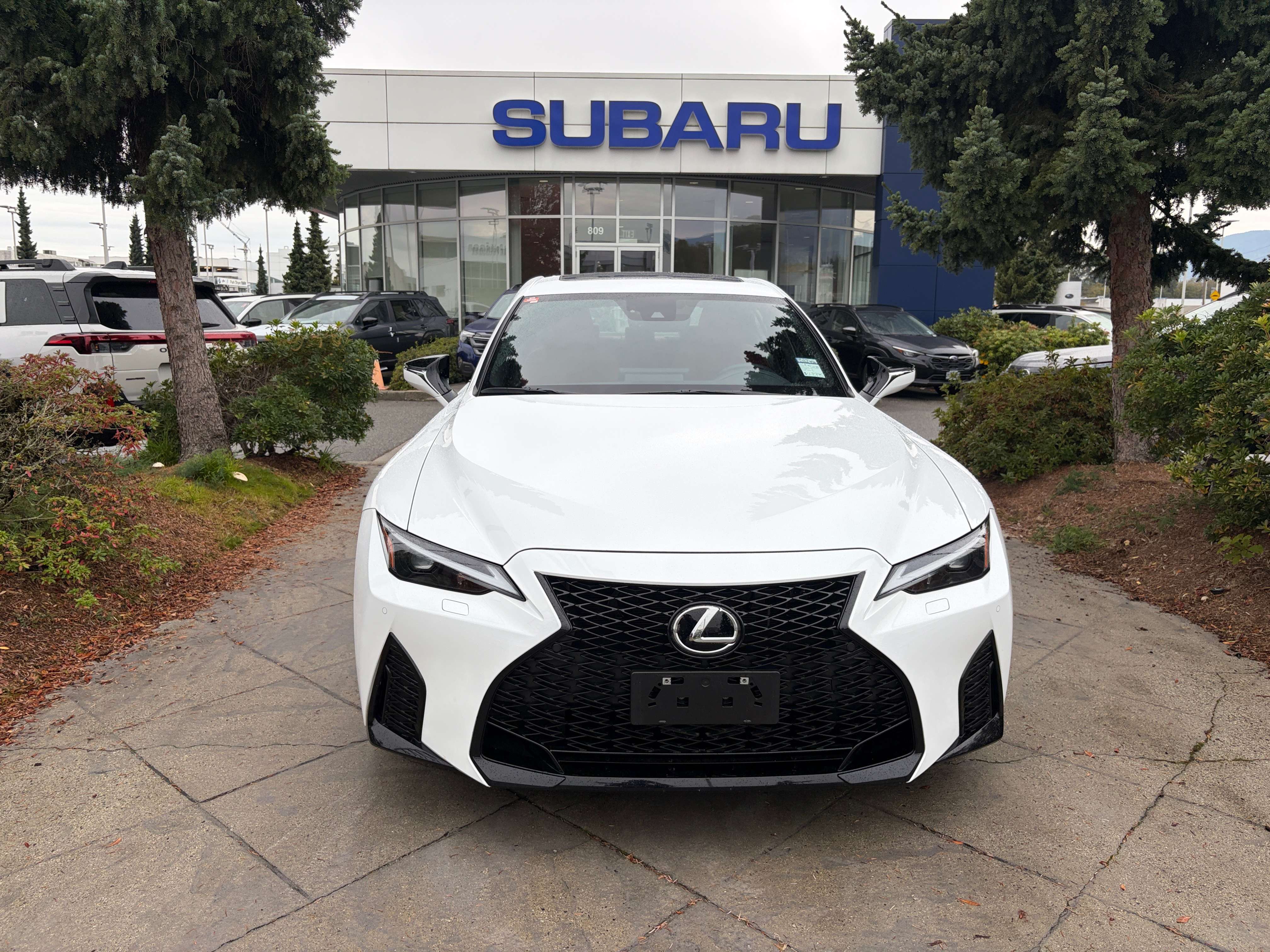 2024 Lexus IS Sedan