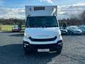 Iveco *Daily*bis -18°C-KühlKoffer*35C15*Neuer*Motor White - thumbnail 7