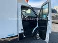 Iveco *Daily*bis -18°C-KühlKoffer*35C15*Neuer*Motor White - thumbnail 17