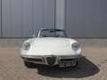 Alfa Romeo Spider 1750 Bianco Spino Білий - thumbnail 8