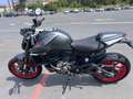 Ducati Monster 937 A2 - thumbnail 5