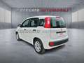 Fiat Panda Panda 1.2 Pop s&s 69cv my19 Biały - thumbnail 3