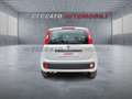 Fiat Panda Panda 1.2 Pop s&s 69cv my19 Biały - thumbnail 5