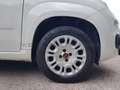 Fiat Panda Panda 1.2 Pop s&s 69cv my19 Biały - thumbnail 6