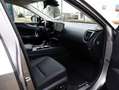 Lexus NX 350h AWD Luxury Line | Leder | Stoelverwarming | Premiu Grijs - thumbnail 8