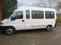 Fiat Ducato minibus - thumbnail 1