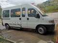 Fiat Ducato minibus - thumbnail 2