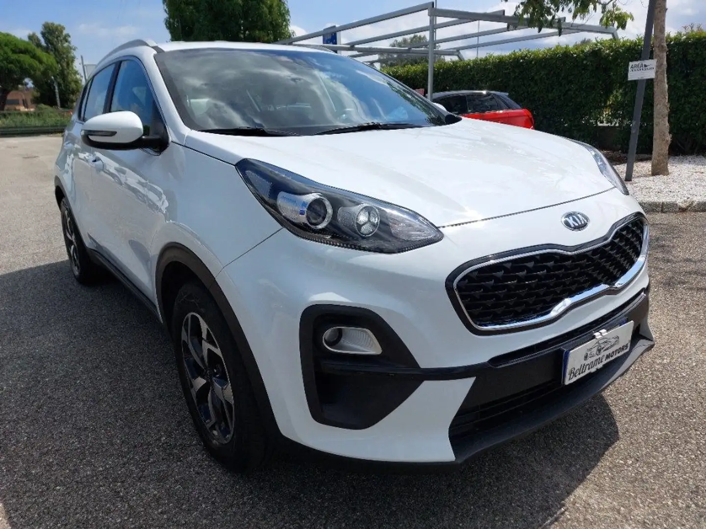 Kia Sportage 1.6 CRDI 136 CV DCT7 2WD Mild Hybrid Business Clas Bianco - 2