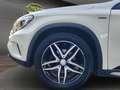 Mercedes-Benz GLA 200 GLA-Klasse GLA 200 CDI d Urban 4Matic Activity Edi Weiß - thumbnail 20
