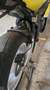 Honda CBR 1000 rr Jaune - thumbnail 8