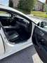 Mercedes-Benz CLS 350 d 4MATIC Amg-Line*PickerlNeu* Weiß - thumbnail 14
