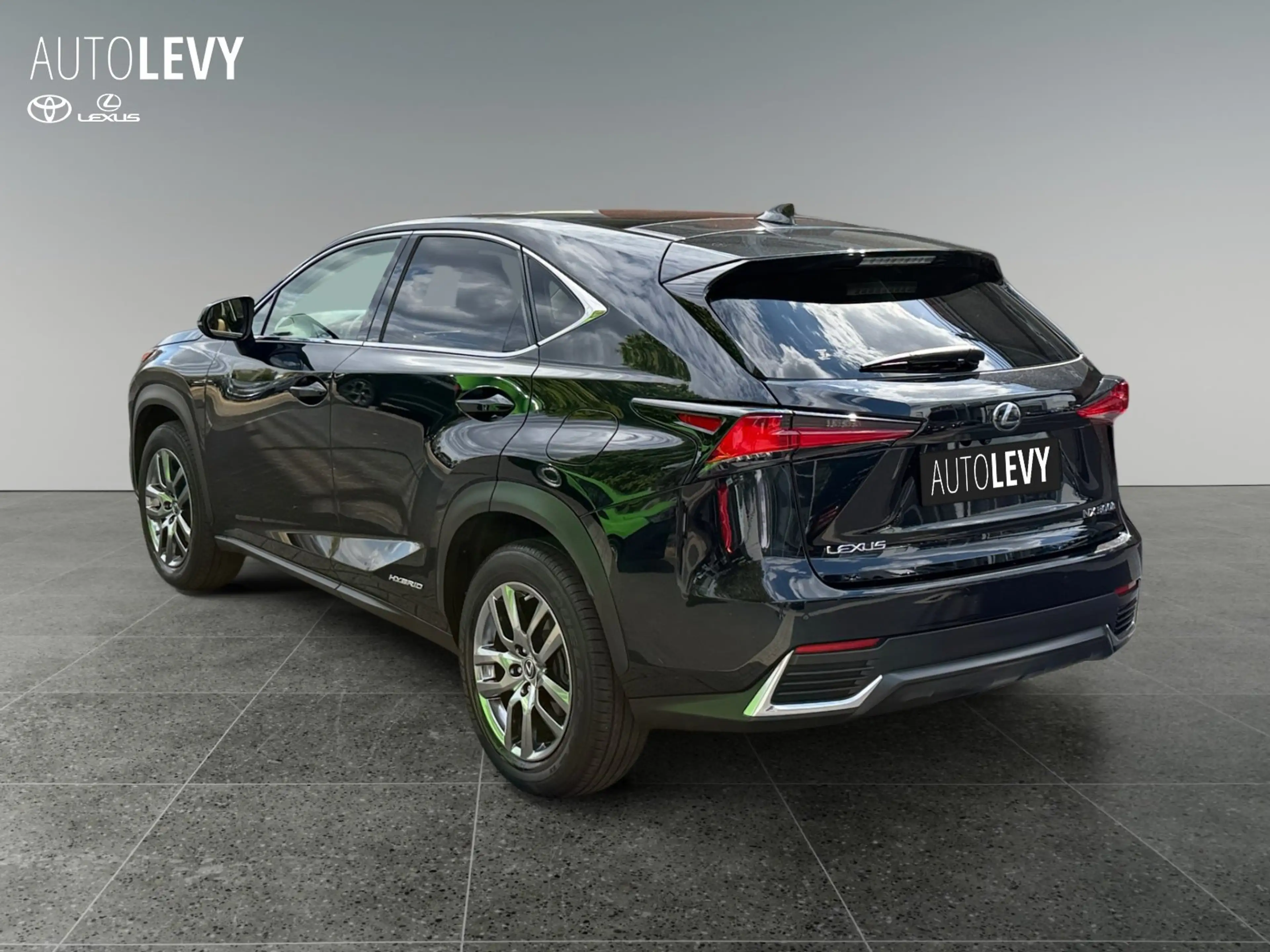 Lexus NX 300h E-Four Executive Line PANO/NAVI — photo 4