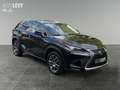 Lexus NX 300h E-Four Executive Line PANO/NAVI Schwarz - thumbnail 8