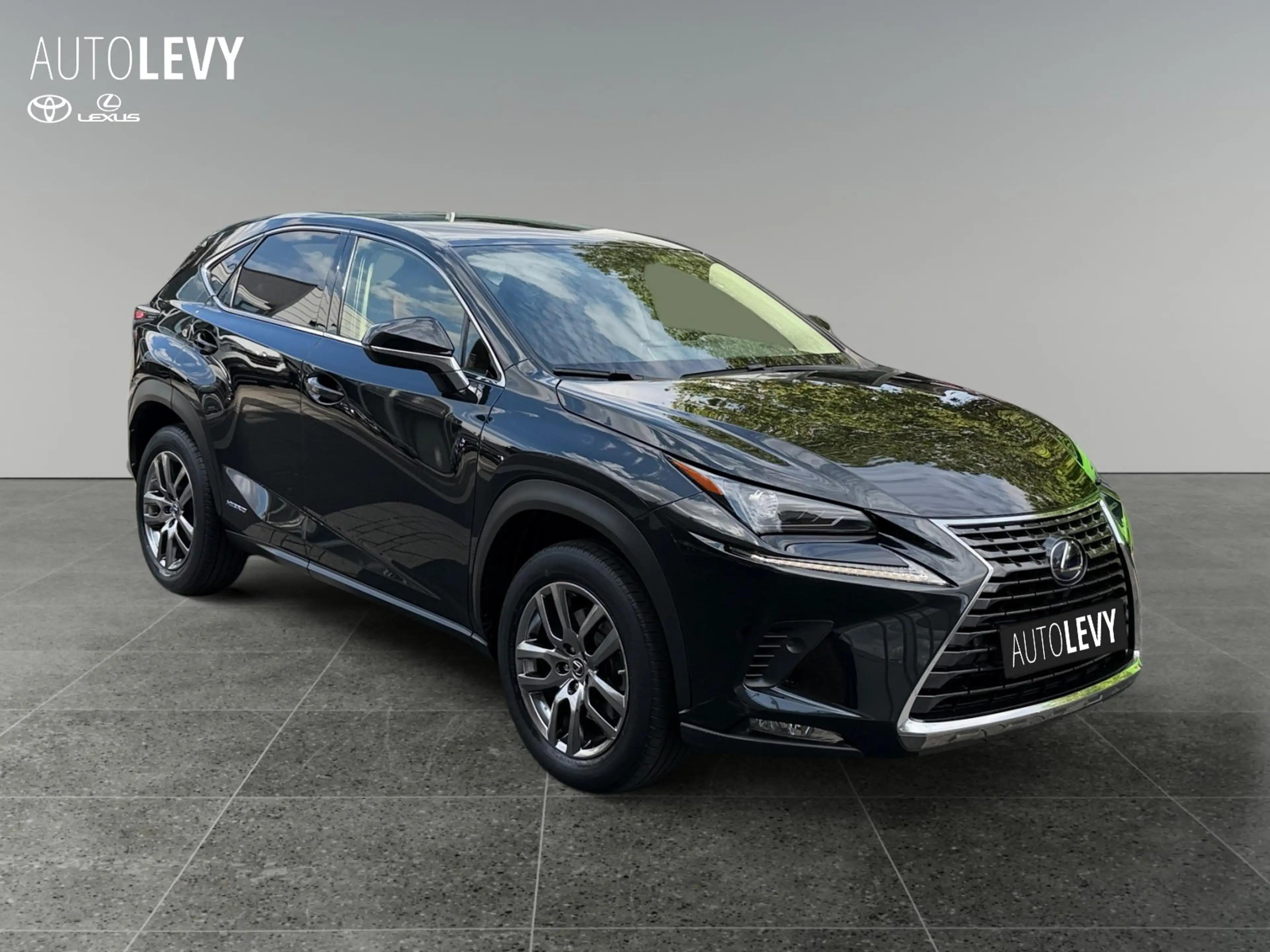 Lexus NX 300h E-Four Executive Line PANO/NAVI — photo 8