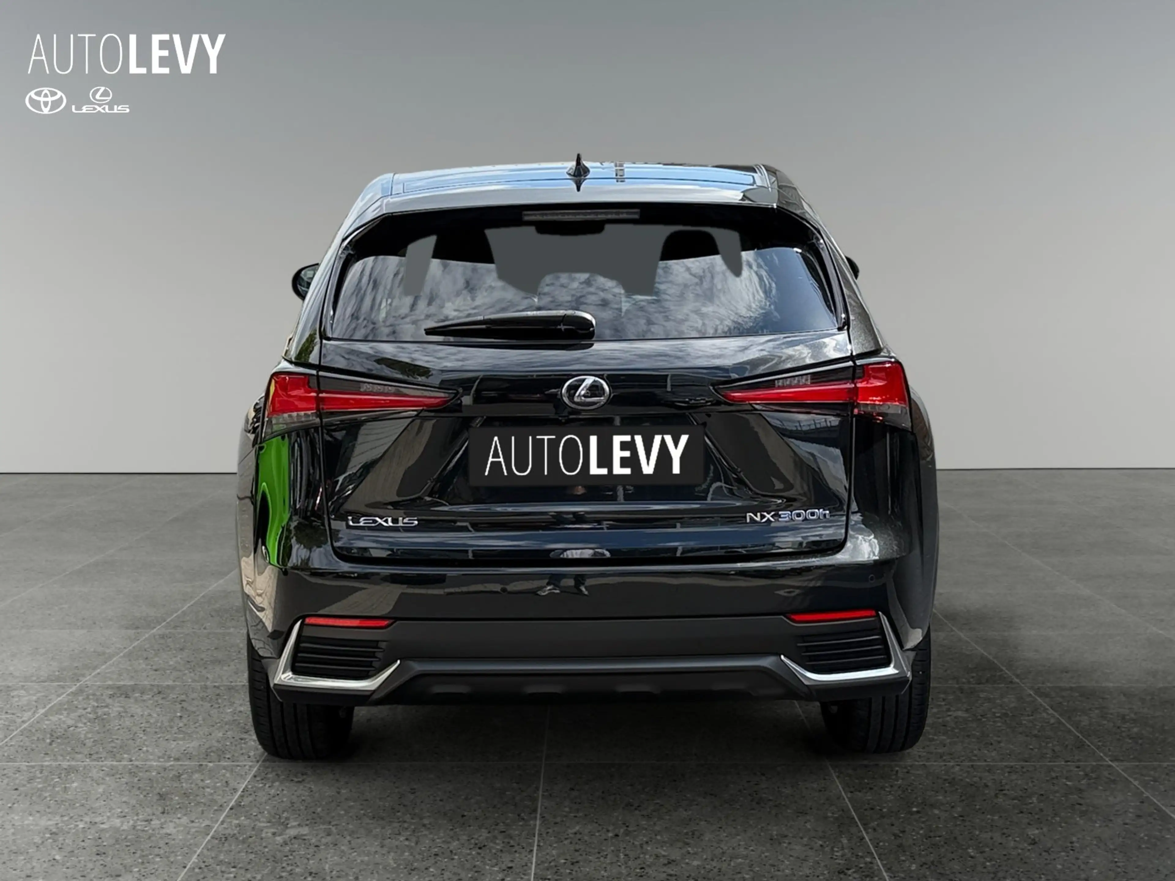 Lexus NX 300h E-Four Executive Line PANO/NAVI — photo 5
