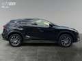 Lexus NX 300h E-Four Executive Line PANO/NAVI Schwarz - thumbnail 7