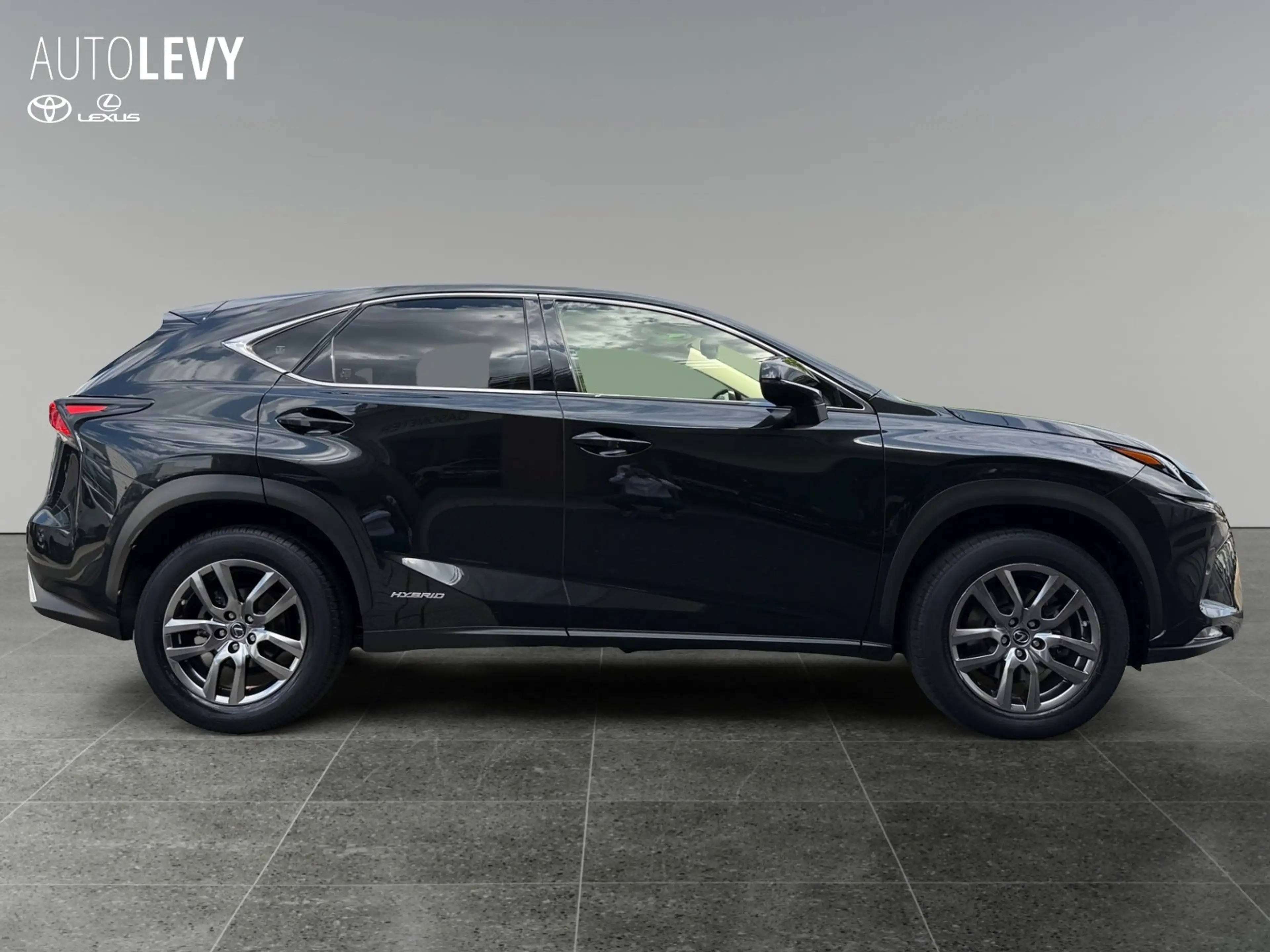 Lexus NX 300h E-Four Executive Line PANO/NAVI — photo 7