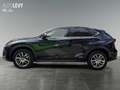 Lexus NX 300h E-Four Executive Line PANO/NAVI Schwarz - thumbnail 3