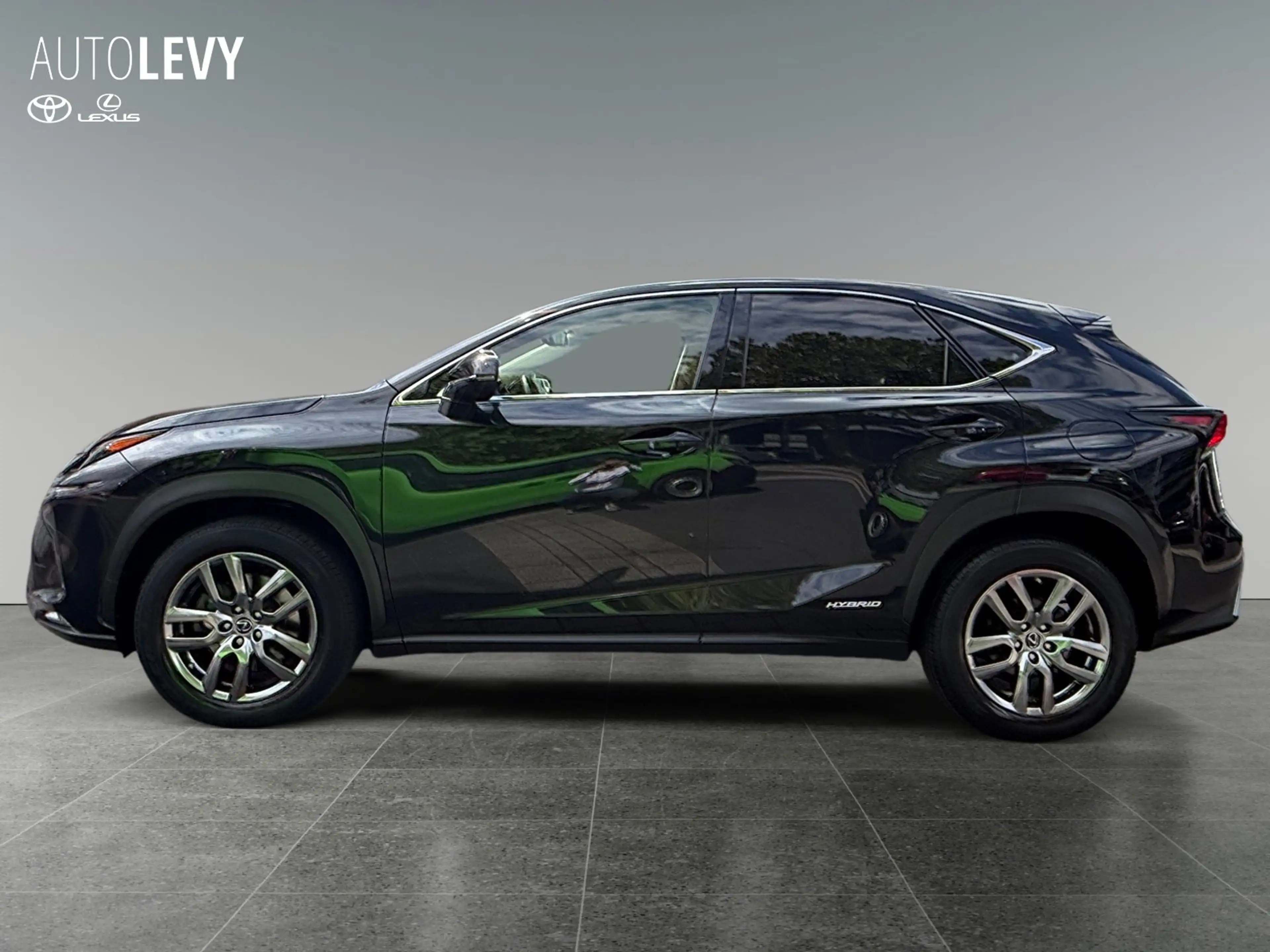 Lexus NX 300h E-Four Executive Line PANO/NAVI — photo 3